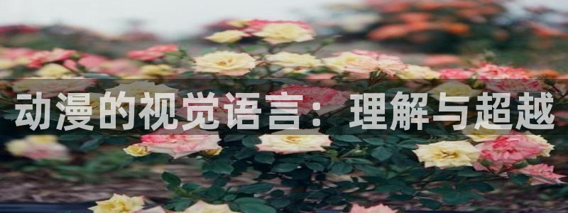 动漫天堂网站：动漫的视觉语言：理解与超越